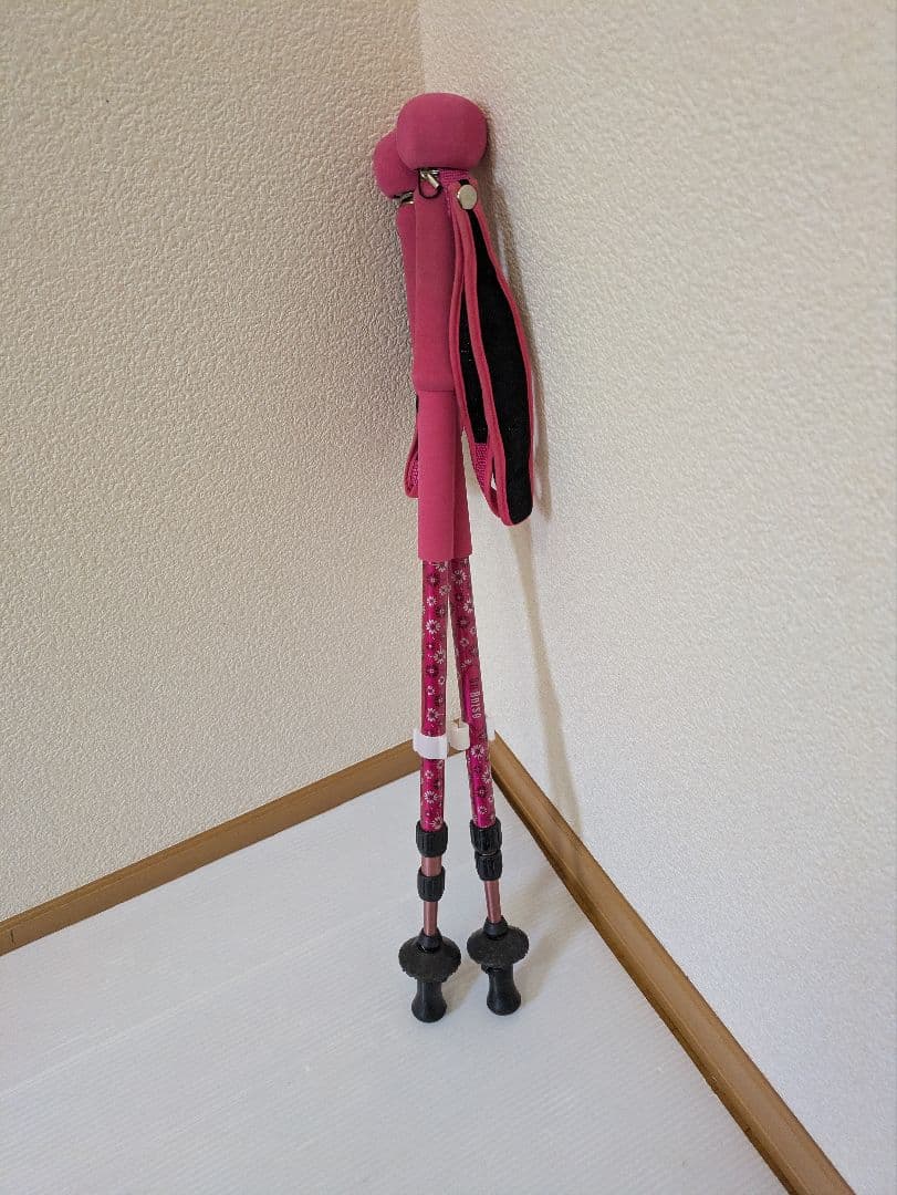 On Anise（オンアニス） トレッキングポール