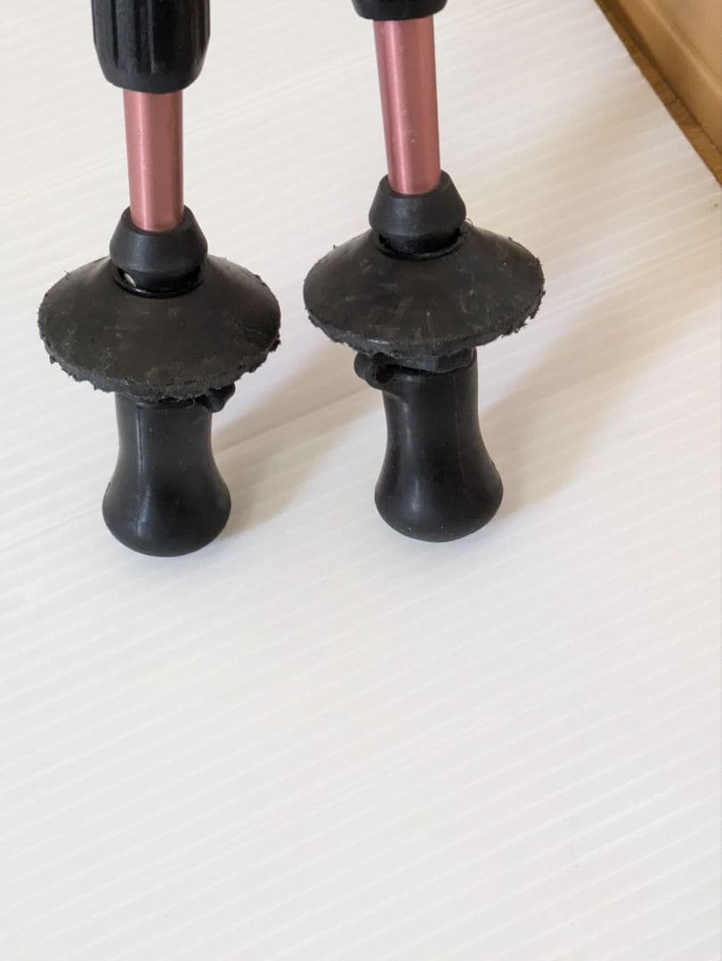 On Anise（オンアニス） トレッキングポール