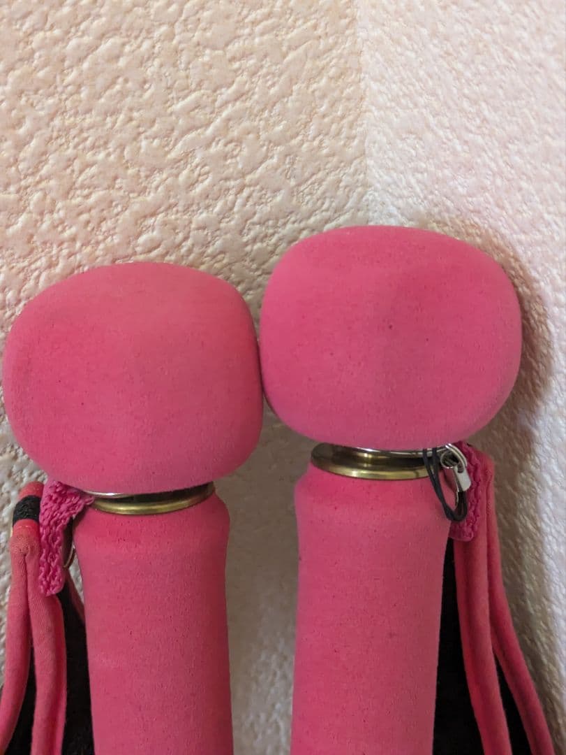 On Anise（オンアニス） トレッキングポール