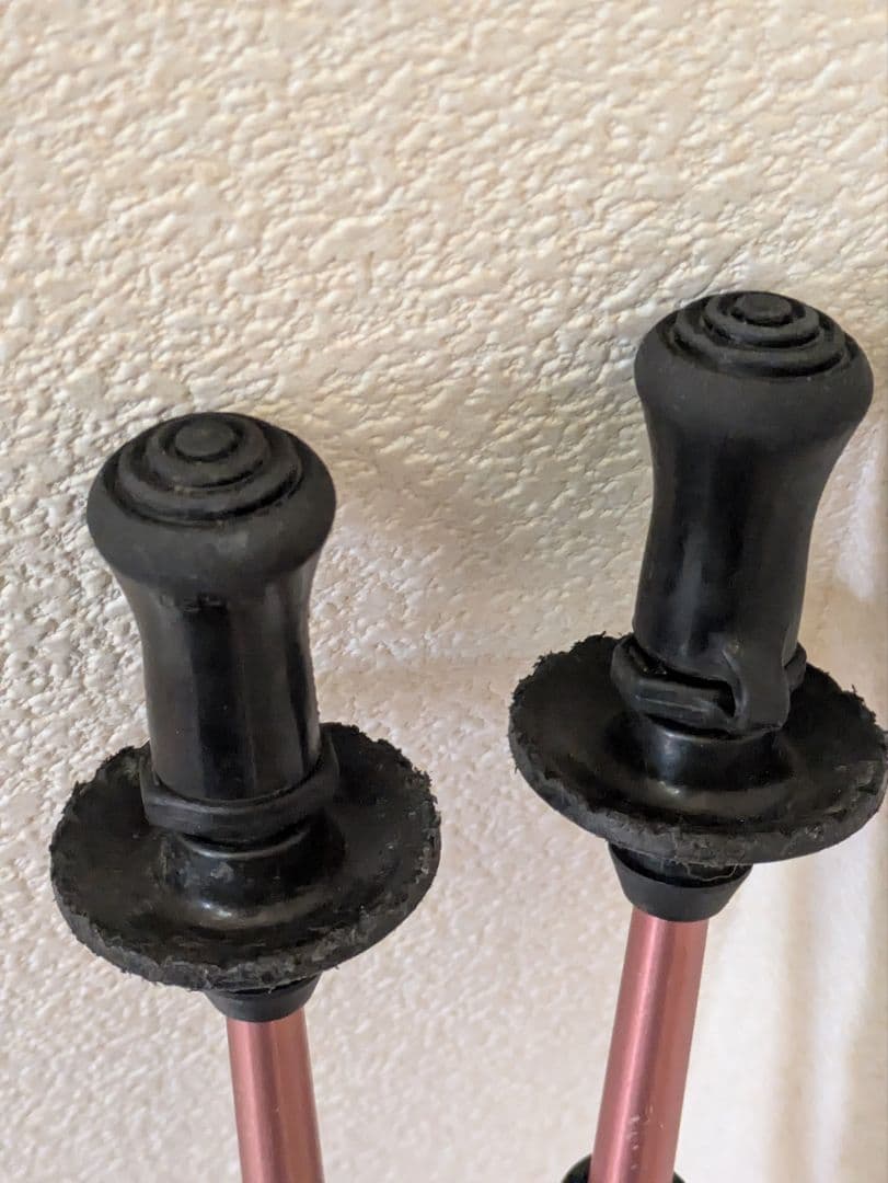 On Anise（オンアニス） トレッキングポール