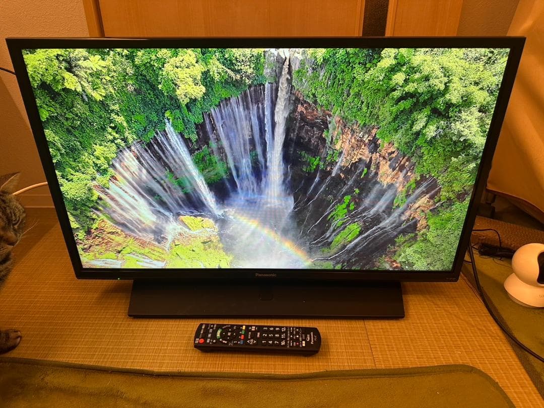 Panasonic　パナソニック 32型 テレビ TH-32F350 2020年