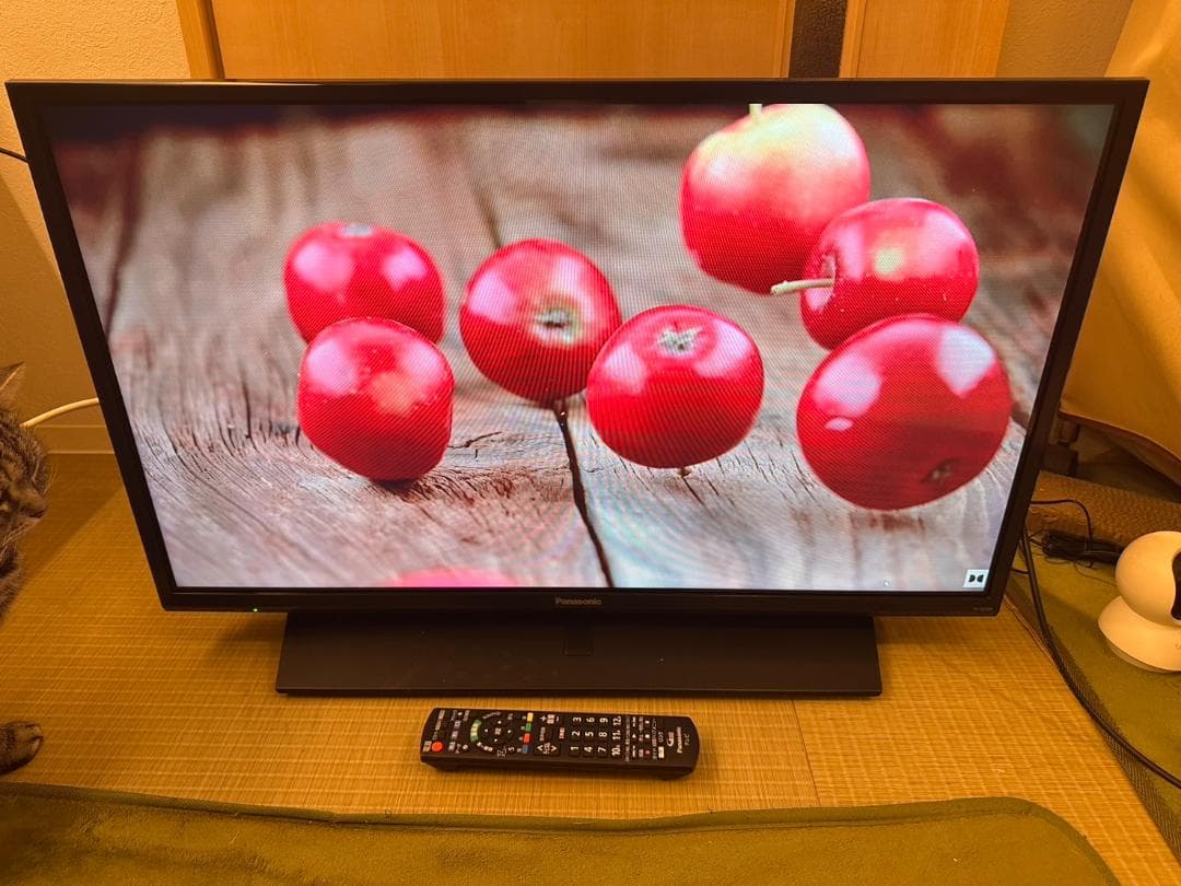 Panasonic　パナソニック 32型 テレビ TH-32F350 2020年
