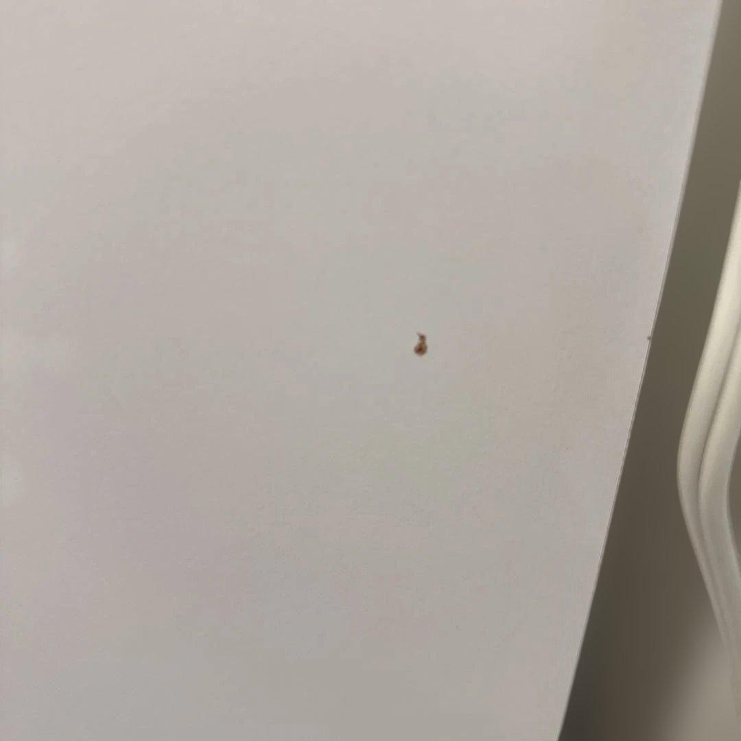 ニトリ　アルミナ2 幅100cm ホワイト キッチンカウンター 食器棚