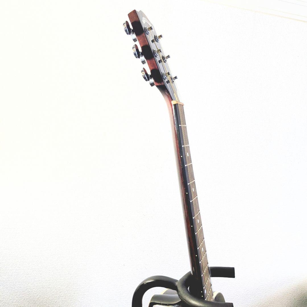 ギター Shirowani65