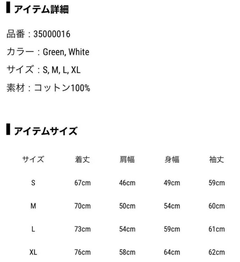 FANTASTICS buddix Logo ロンT グリーンSサイズ