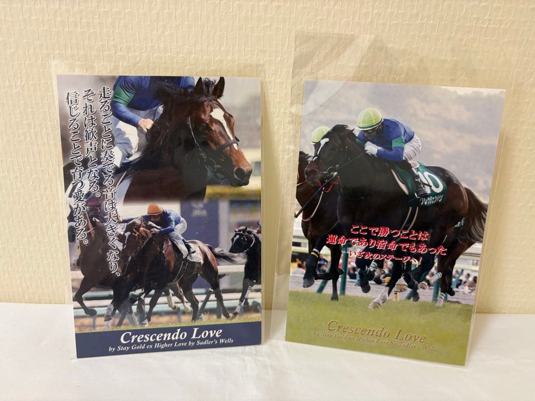 競馬ぬいぐるみ　クレッシェンドラヴ号　ポストカードセット