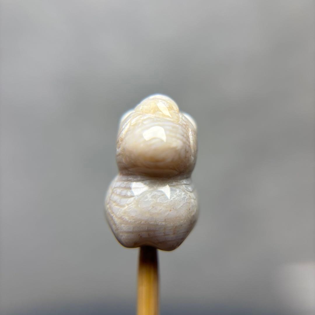 tamagoフォッシルコーラル　馬パーツ　1-146