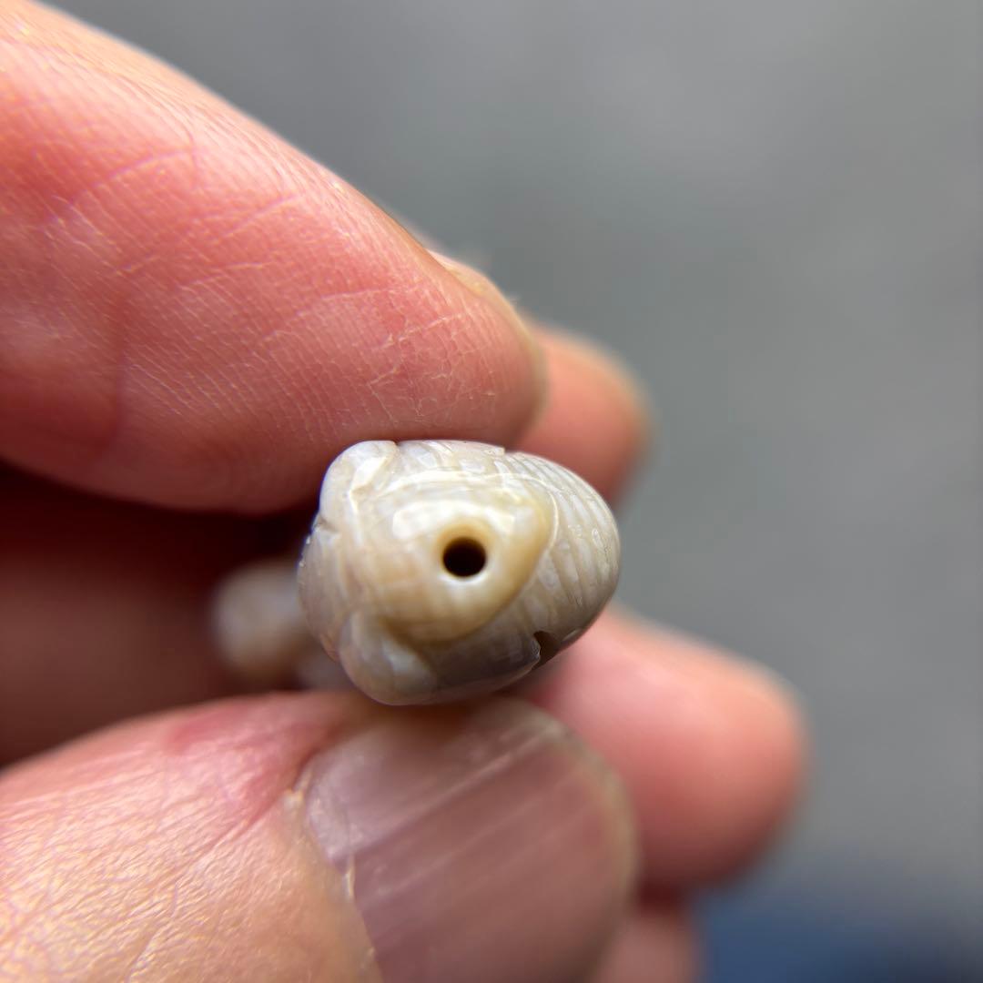 tamagoフォッシルコーラル　馬パーツ　1-146