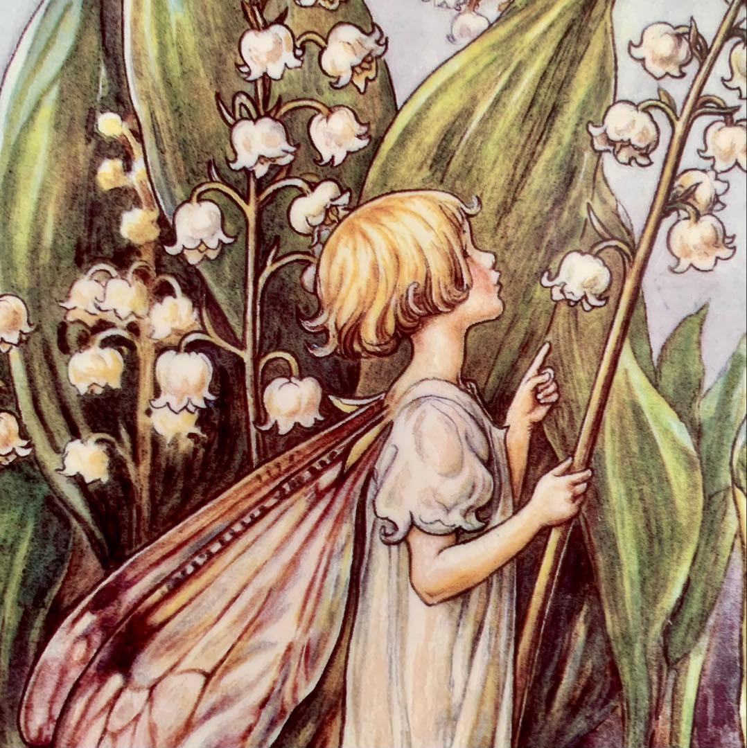 フラワーフェアリーズ すずらんの妖精 飾り皿 プレート ウェッジウッド