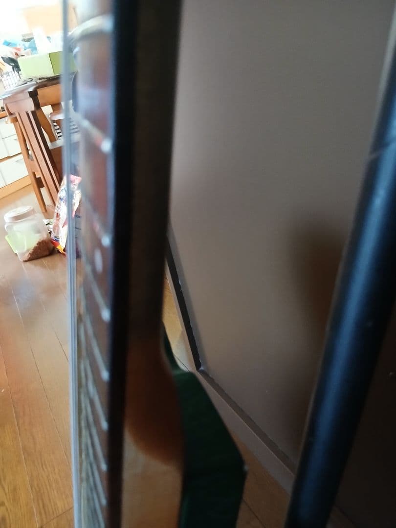 LINDY FRALIN BLUES SPECIAL搭載 レリックテレキャスター