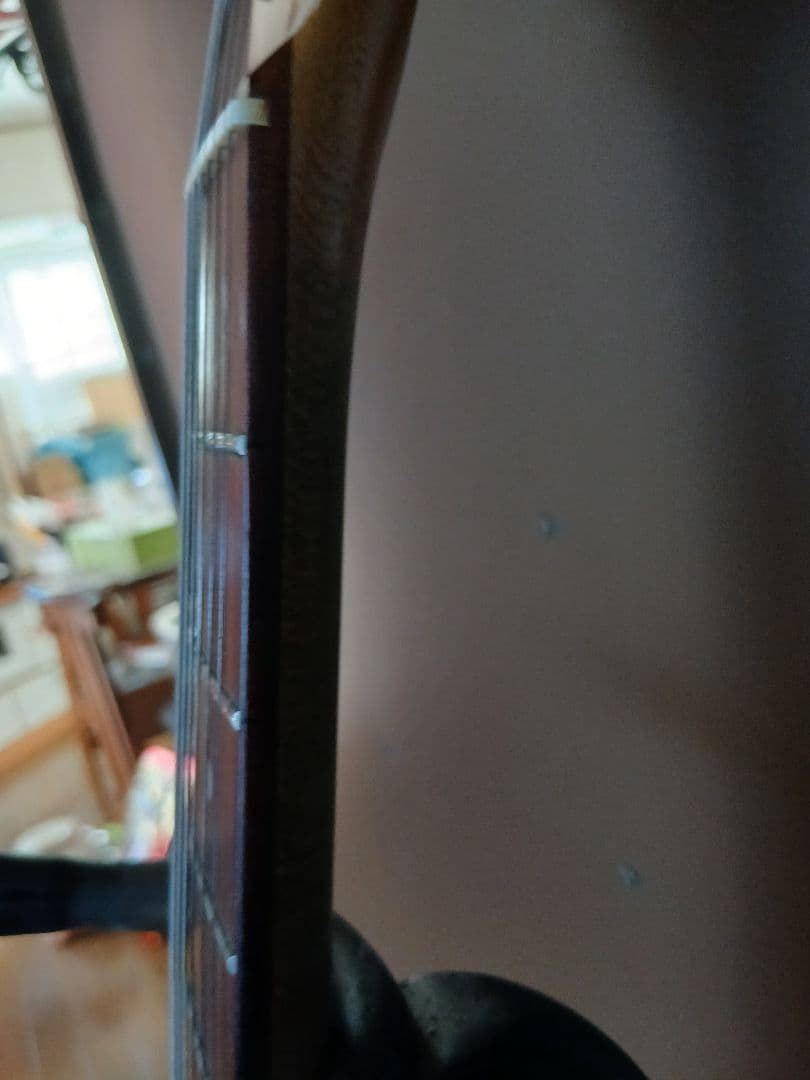 LINDY FRALIN BLUES SPECIAL搭載 レリックテレキャスター