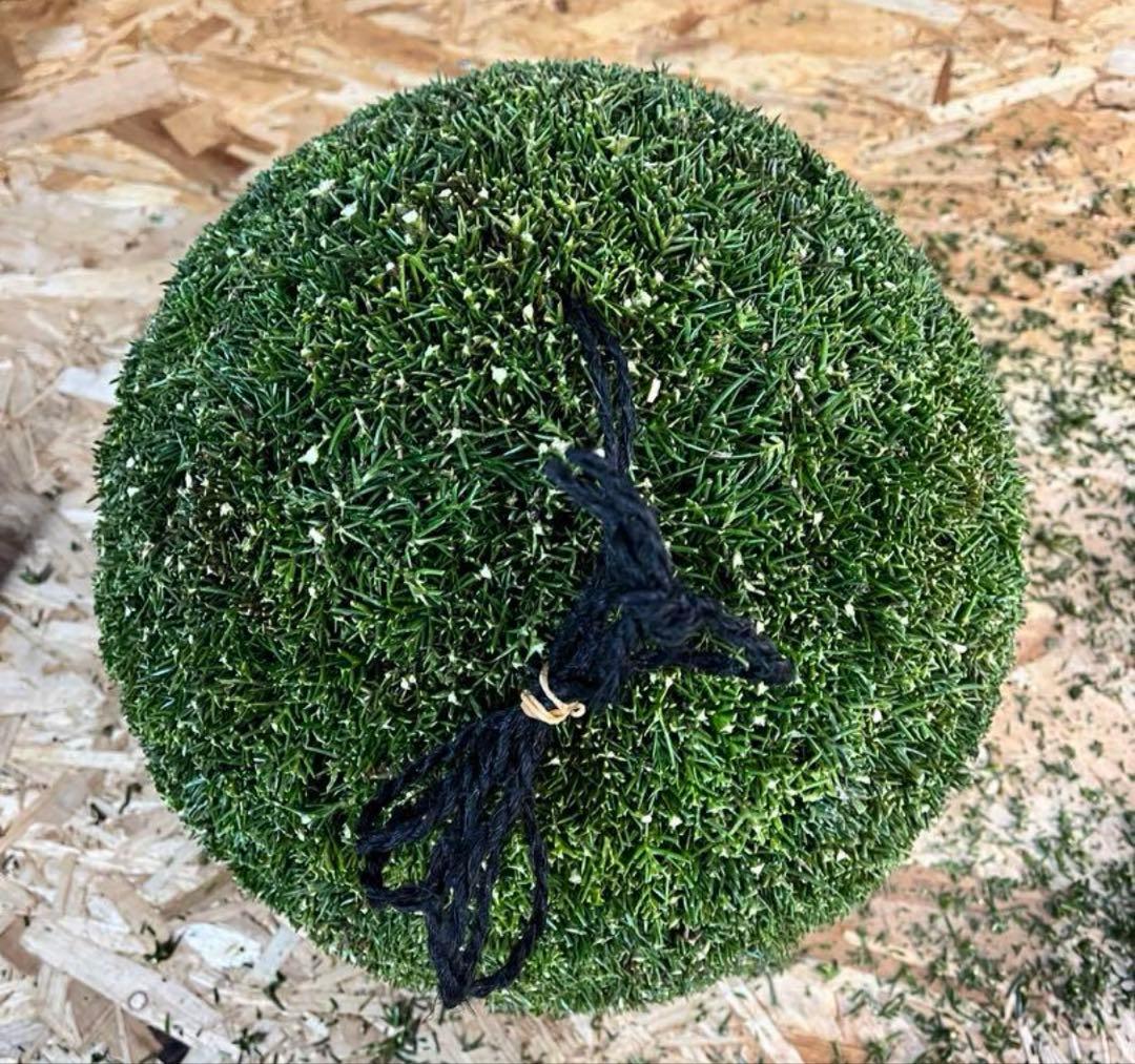 杉玉　約30センチ ‼️縁起物　丸くて幸せ　家族円満♪