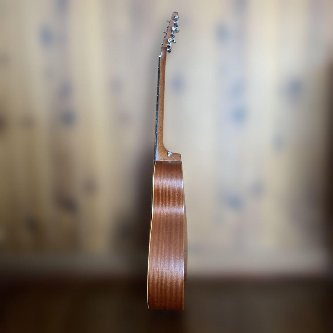 Taylor GS Mini ケース付