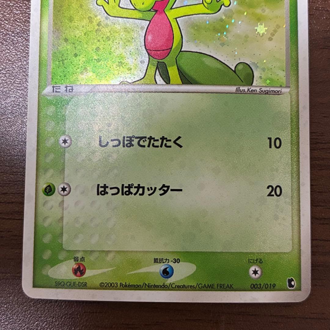 ポケモンカード　キモリ　ADV 構築済みスターター　キモリデッキ