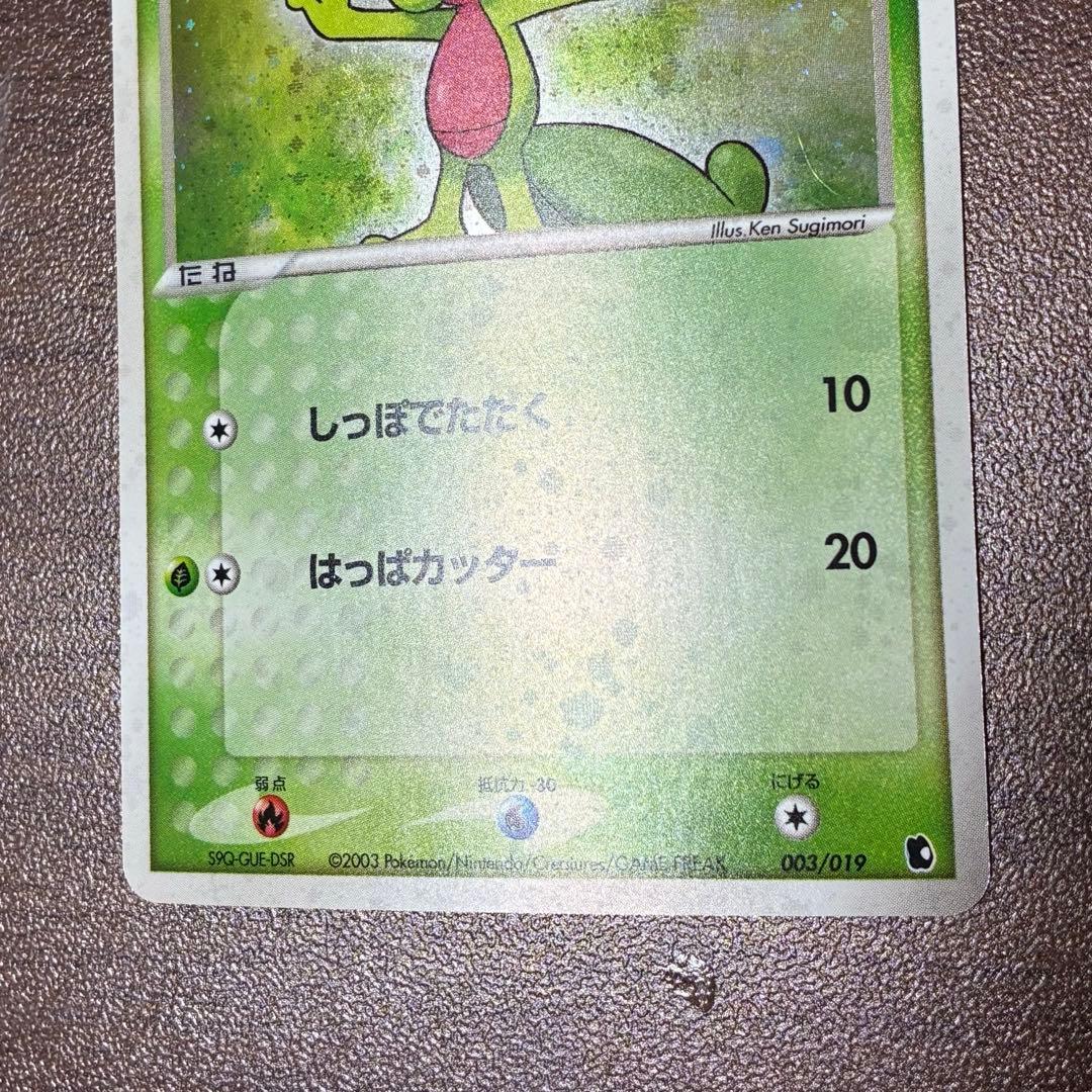 ポケモンカード　キモリ　ADV 構築済みスターター　キモリデッキ