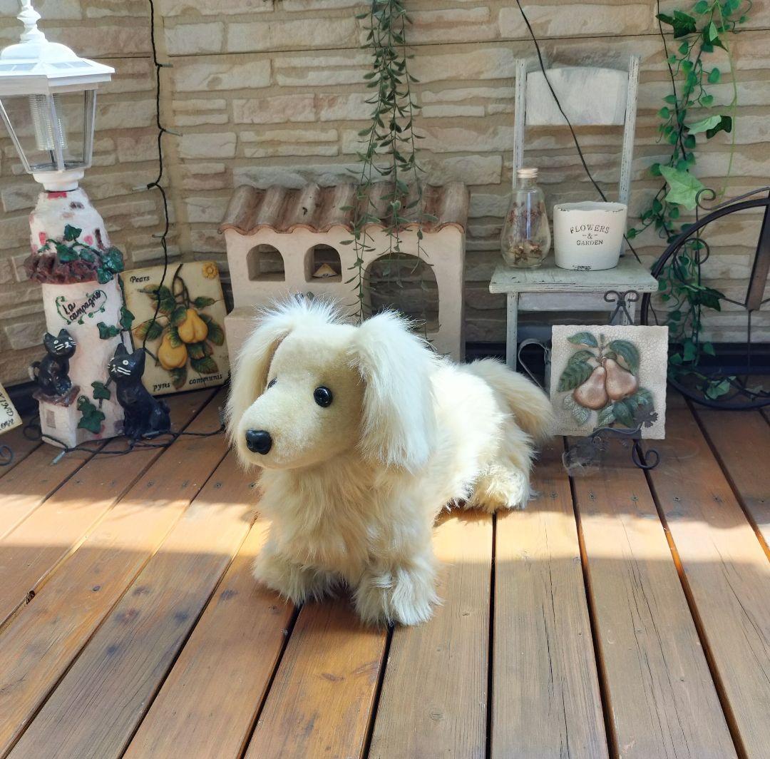 実寸大　ミニチュアダックス　クリーム