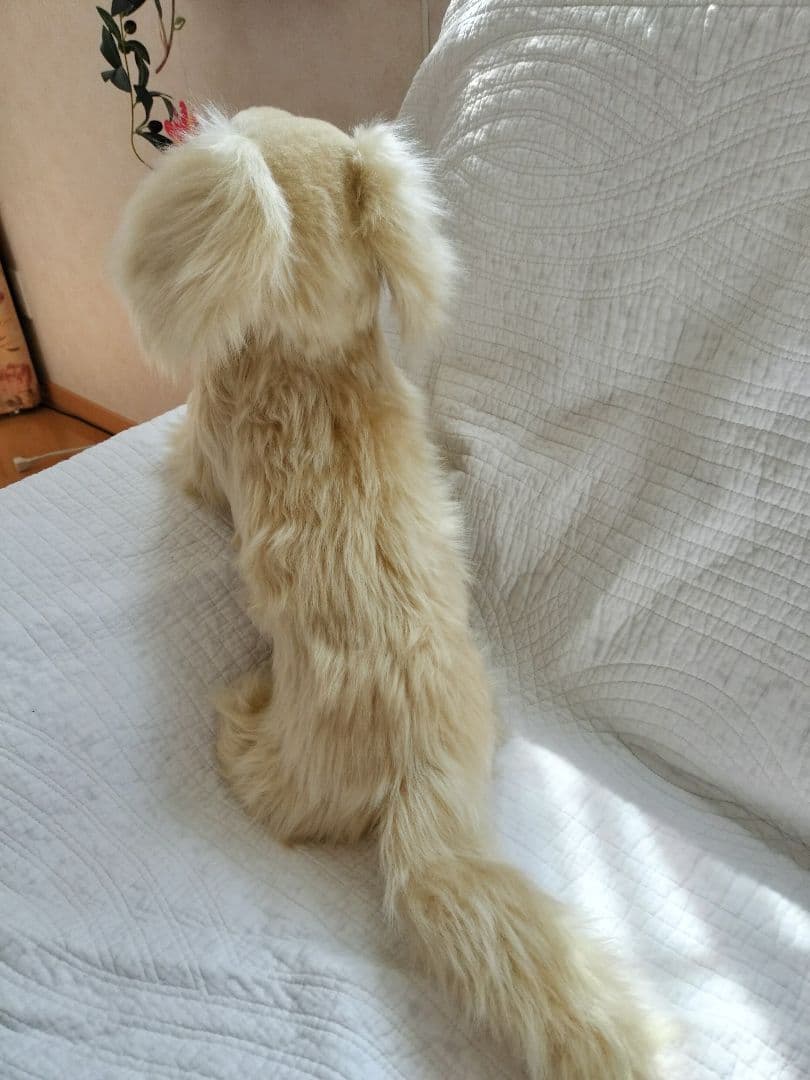 実寸大　ミニチュアダックス　クリーム