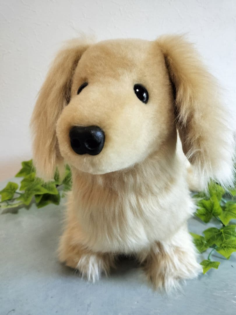 実寸大　ミニチュアダックス　クリーム