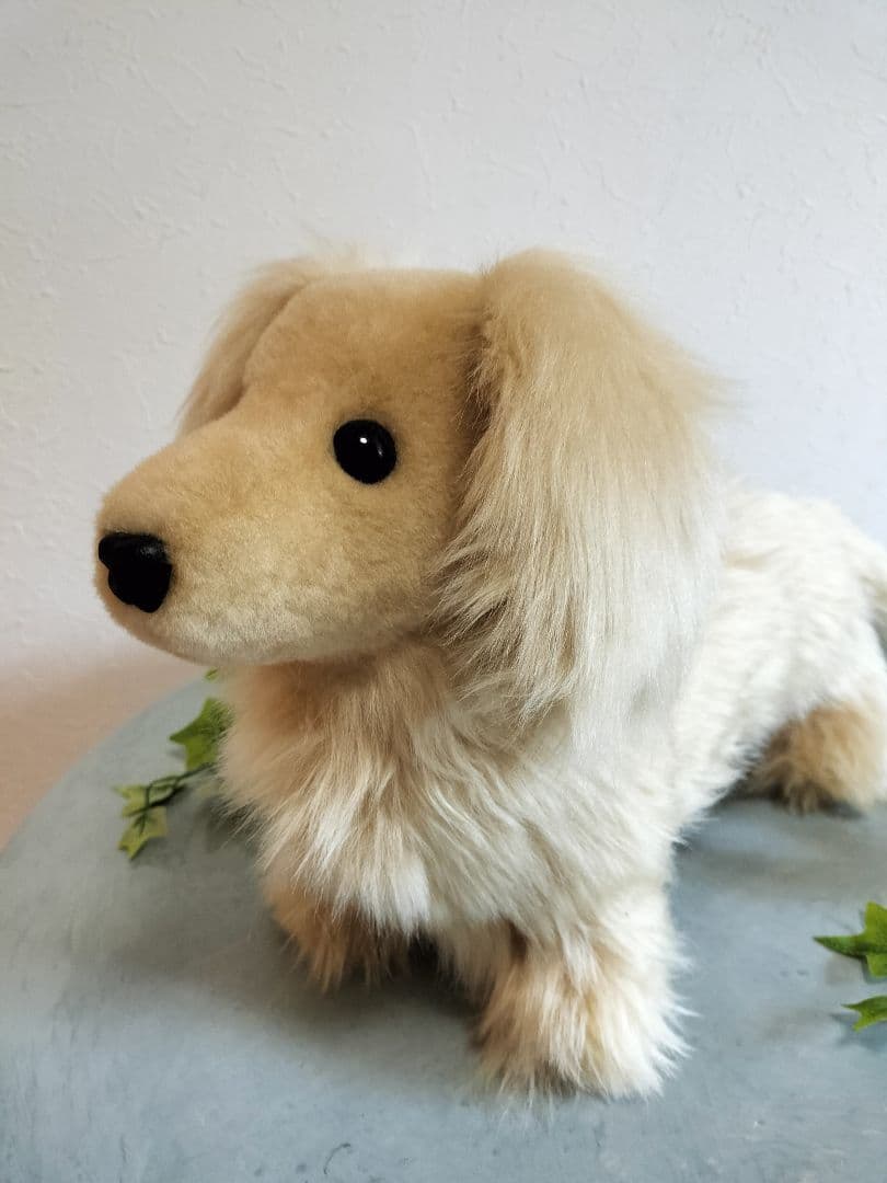 実寸大　ミニチュアダックス　クリーム