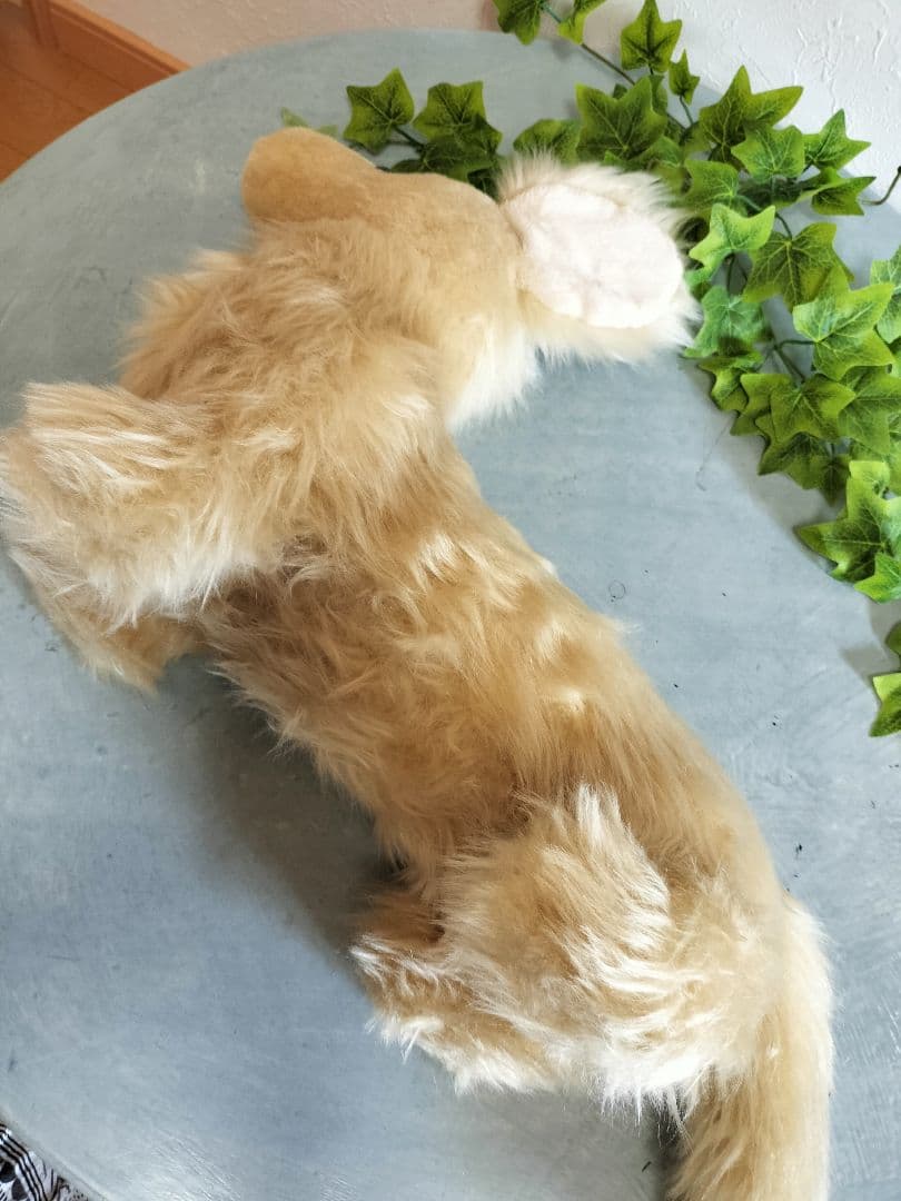 実寸大　ミニチュアダックス　クリーム