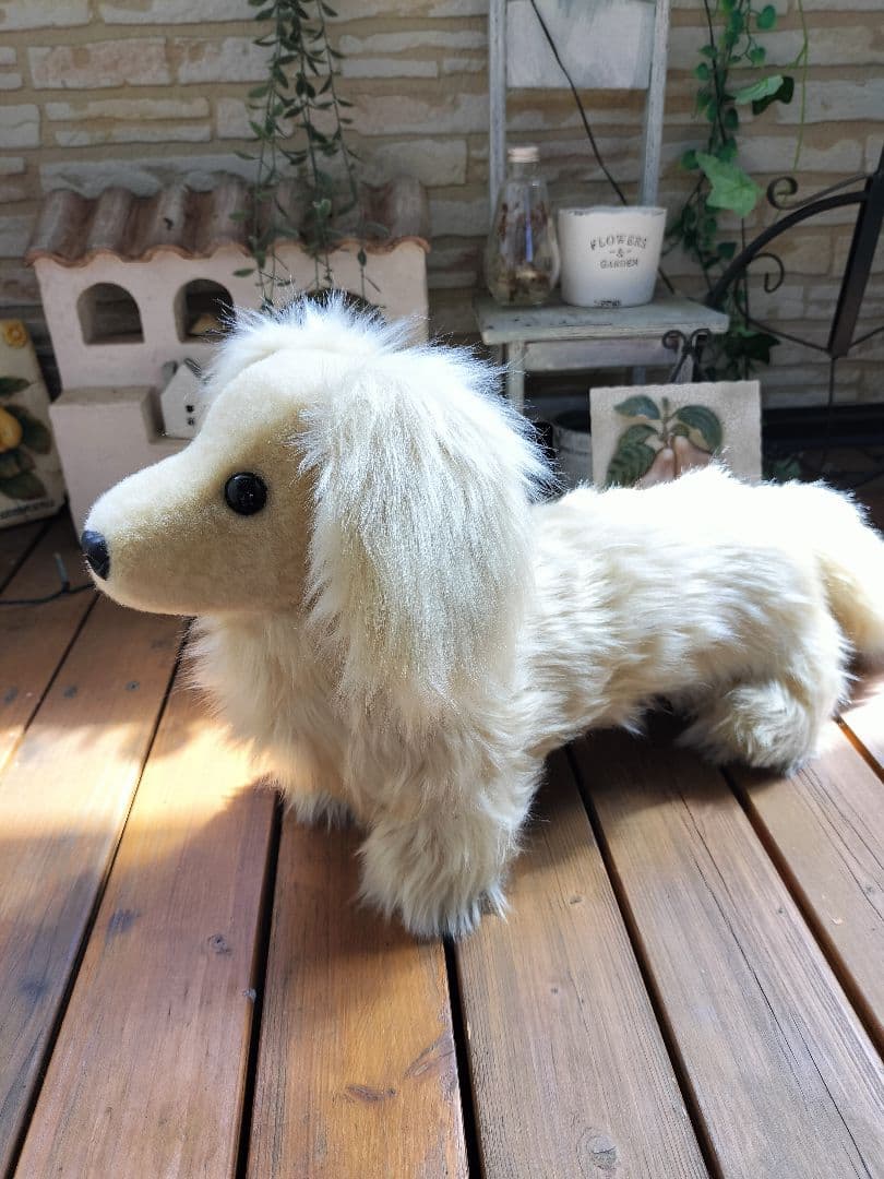 実寸大　ミニチュアダックス　クリーム