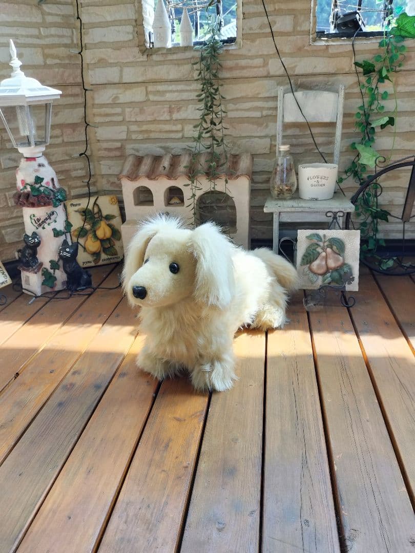 実寸大　ミニチュアダックス　クリーム