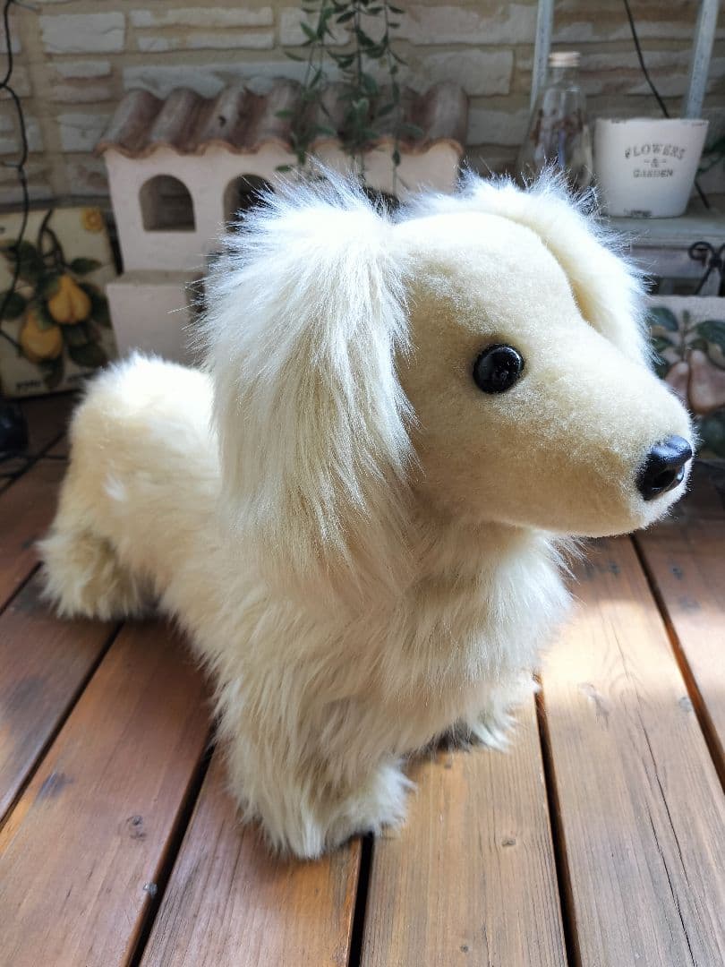 実寸大　ミニチュアダックス　クリーム