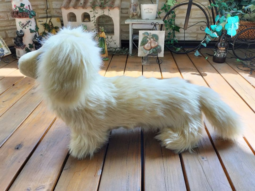 実寸大　ミニチュアダックス　クリーム