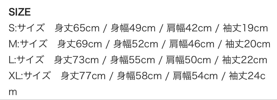 【新品未使用】Hi-STANDARD ハイスタ Tシャツ XL