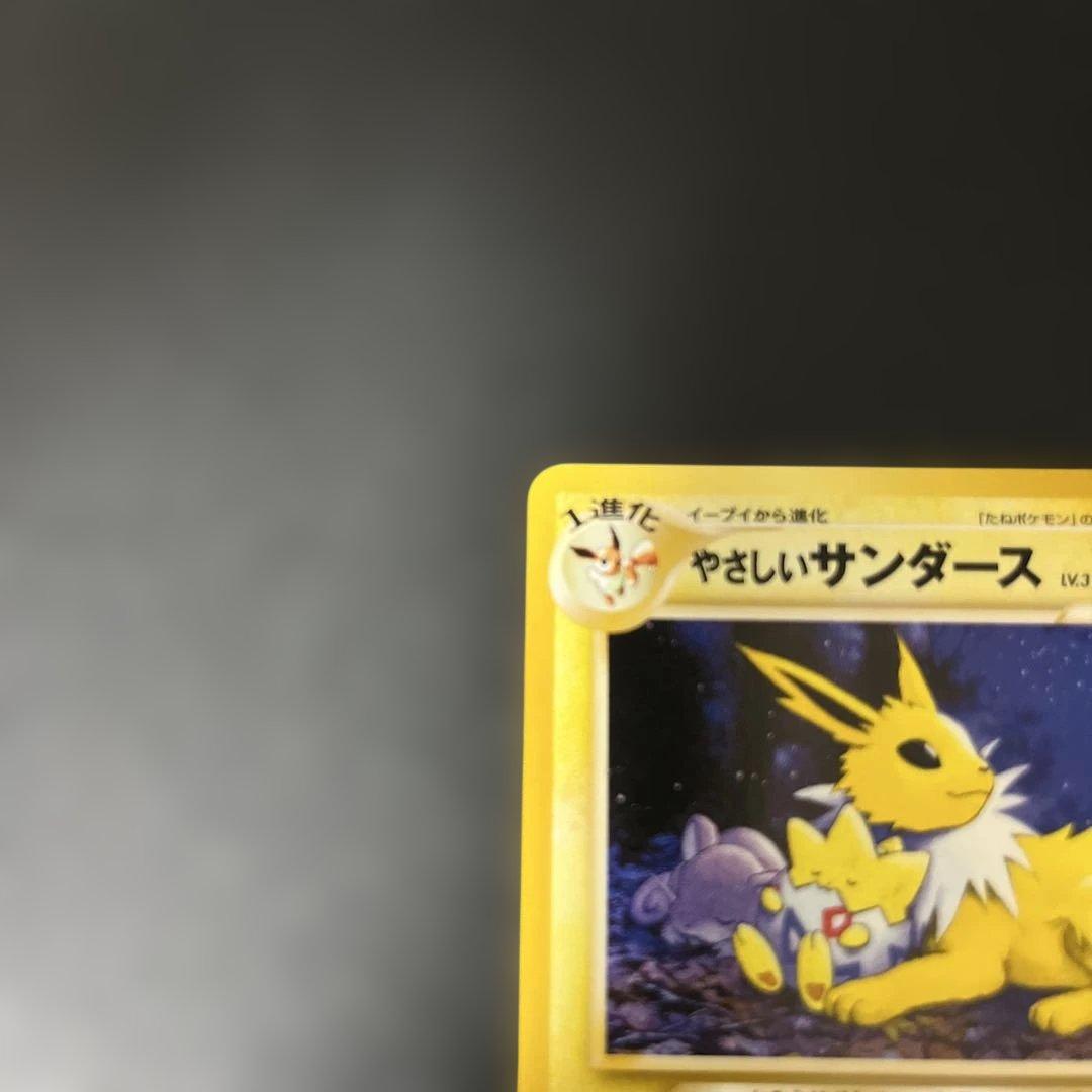 旧裏 やさしいシャワーズ パルスガード 135