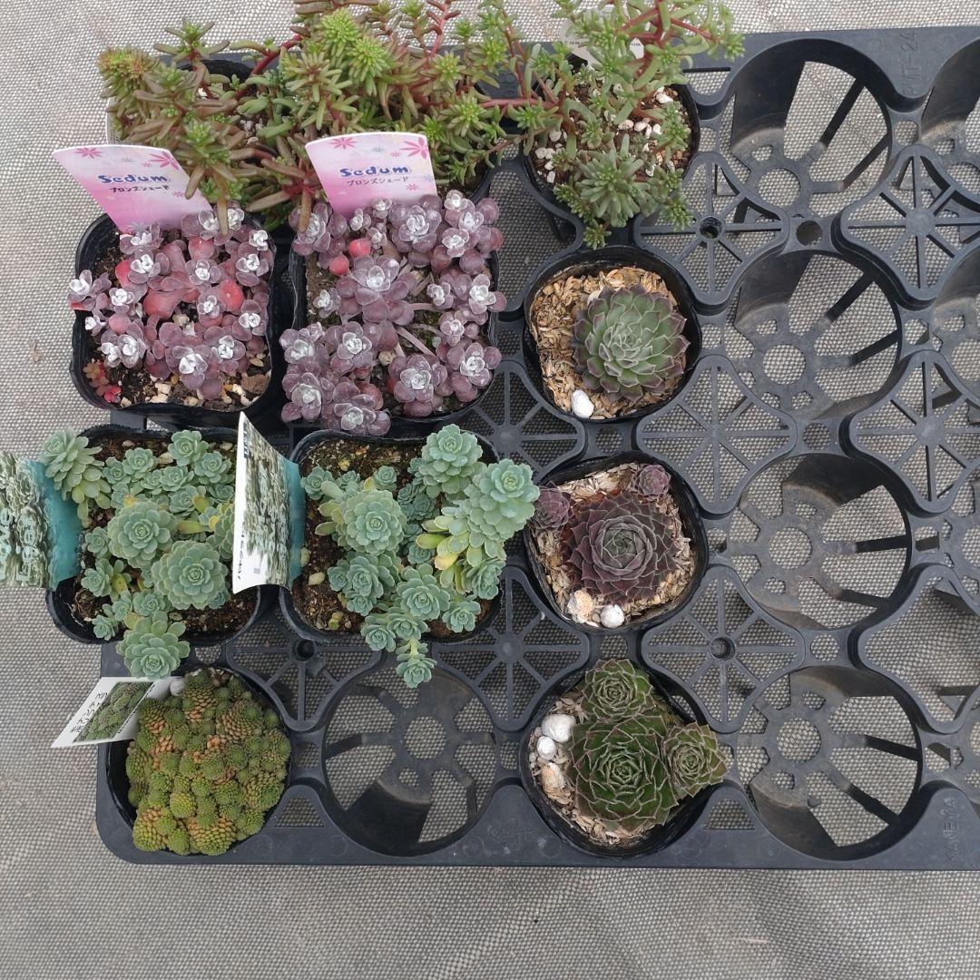 追加検討中 Akeさん専用