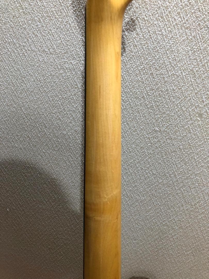 Bacchus BTE-350R 交渉中