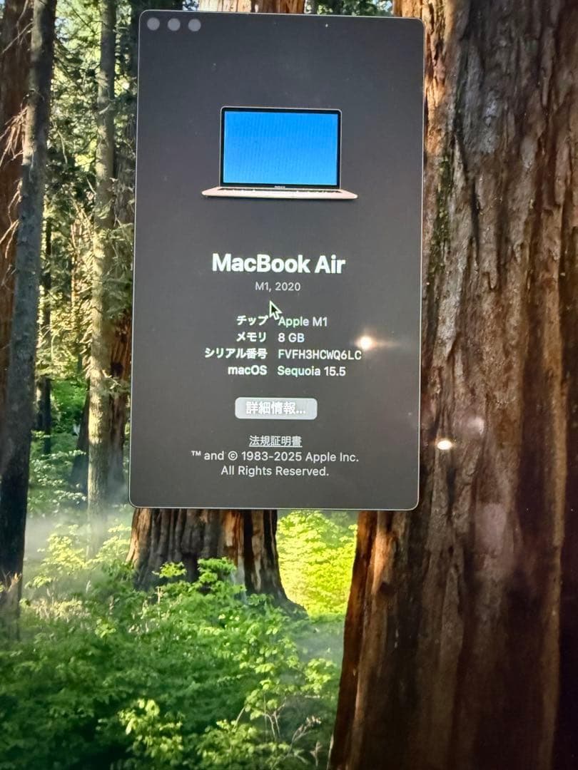 【美品】MacBook Air M1 2020 256GB メモリ8GB ローズ