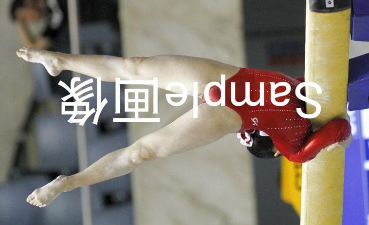 女子体操画像集 2016年全日本体操 種目別 2/2 高画質写真！7500枚