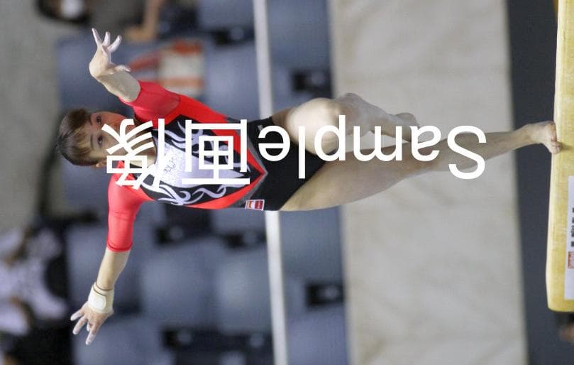 女子体操画像集 2016年全日本体操 種目別 2/2 高画質写真！7500枚