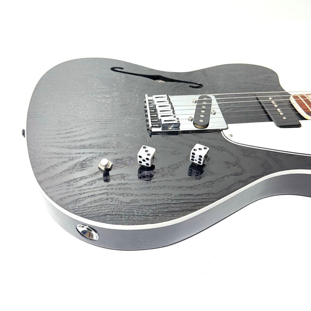 【希少】Custom Telemaster Reverse テレマスターリバース