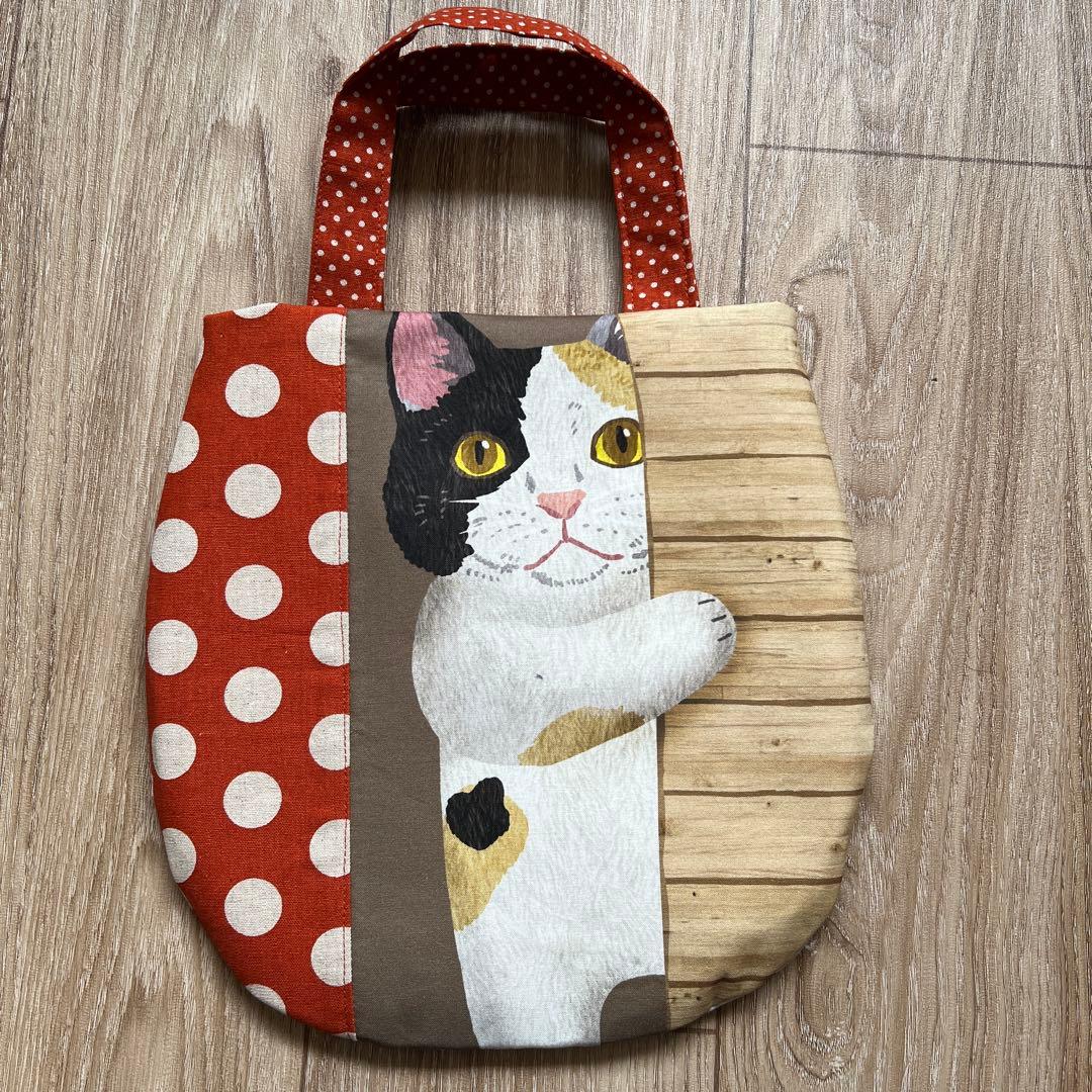 キラキラ⭐️　ひょっこり猫＆ポーチ