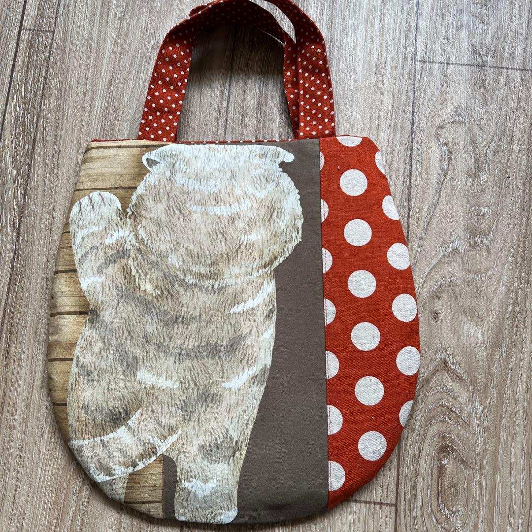 キラキラ⭐️　ひょっこり猫＆ポーチ