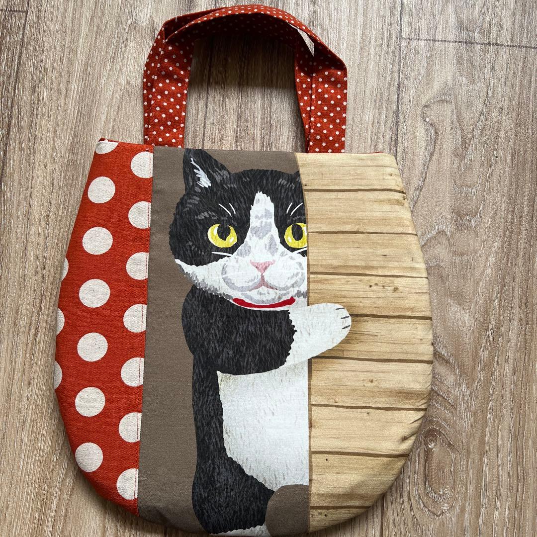 キラキラ⭐️　ひょっこり猫＆ポーチ