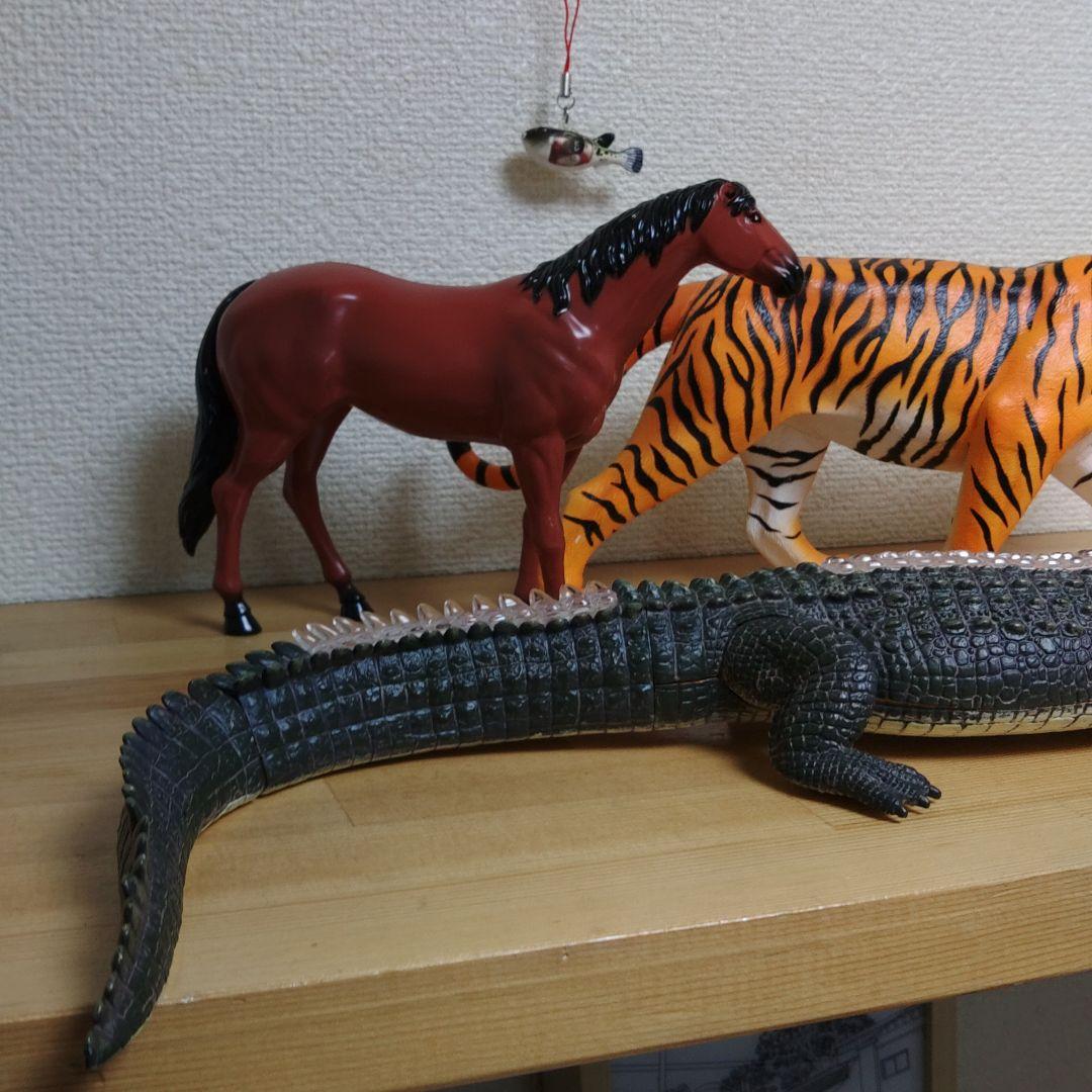 スケルトン 解剖 動物模型 ワニ トラ 馬　フグ 4 VISION剖　ハロウィン
