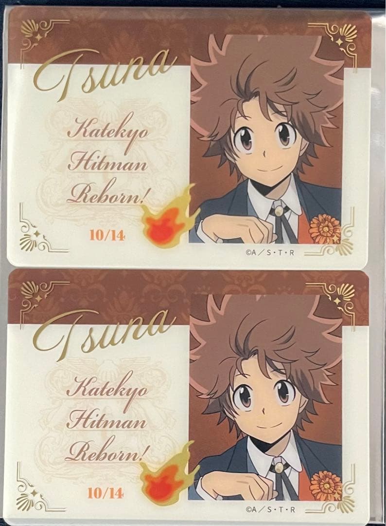 沢田綱吉　REBORN 渋谷MODI パブリックスクール　缶バッジ　学生証　特典