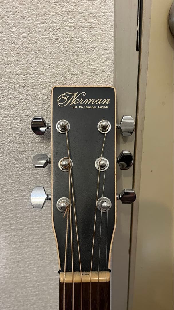 れてんジャダム れてん使用 Norman エレアコースティックギター