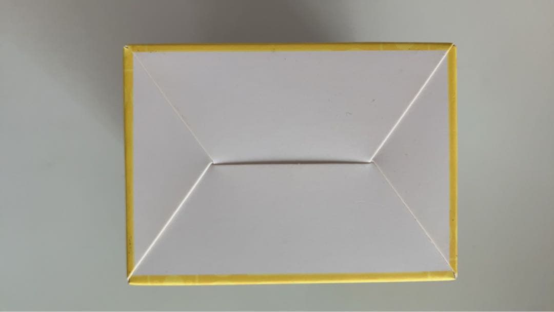 ポケモンワールドチャンピオンシップ2023横浜 ピカチュウデッキ