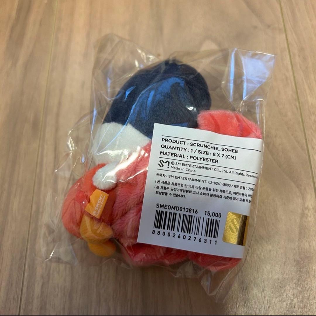 ソヒ⭐️シュシュ ぬいぐるみ RIIZING DAY FINALE