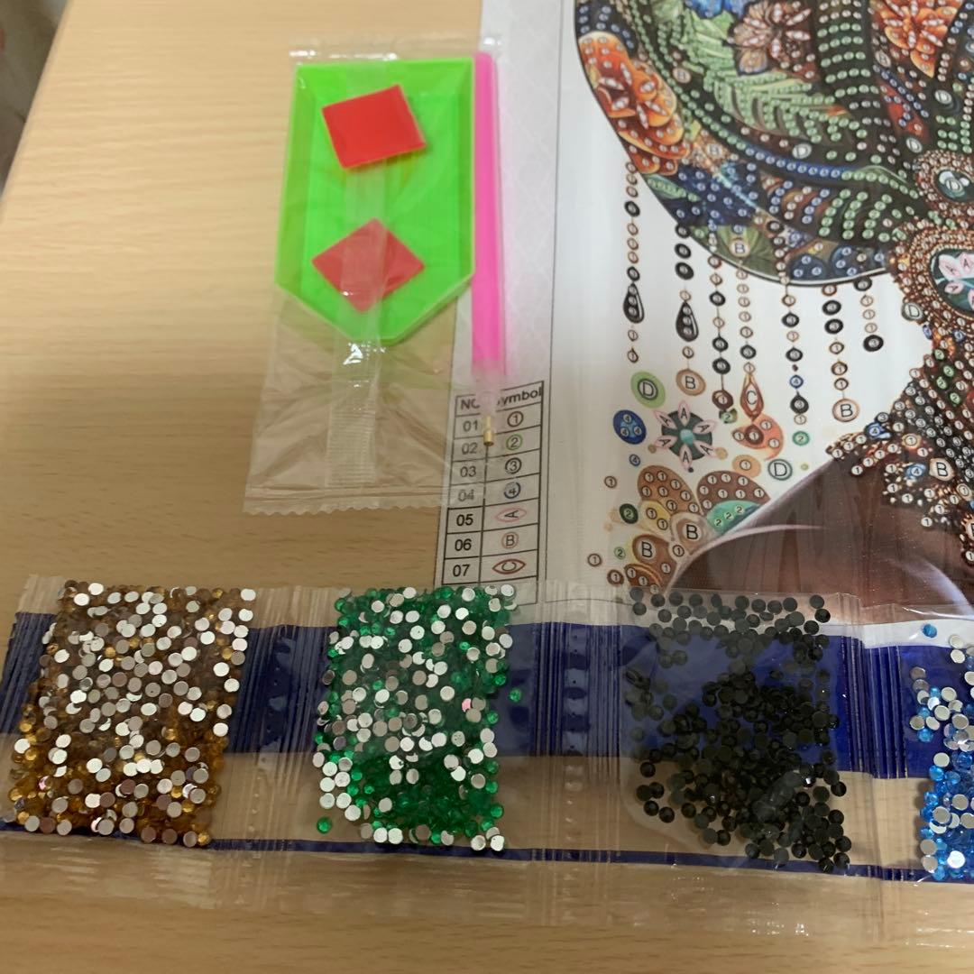 ダイヤモンドアート特殊ビーズ ブラックビューティーレディ 30cmX 30cm