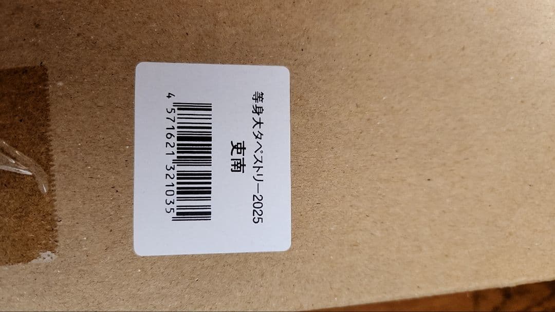 スターダム　吏南　等身大タペストリー　2025　女子プロレス　HATE