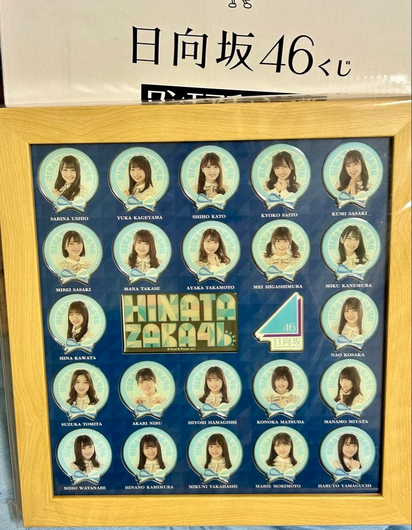 【限定100点】日向坂46くじ ワンモアチャンス賞フレームピンズコレクション