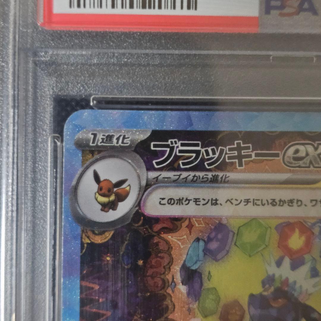 ブラッキー SAR 2024テラスタルフェスex PSA10