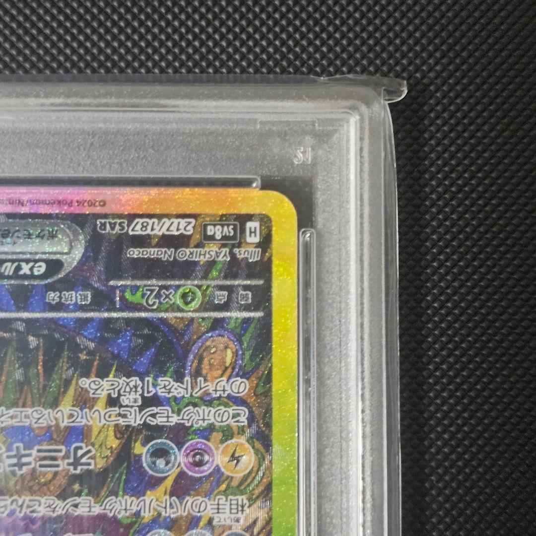 ブラッキー SAR 2024テラスタルフェスex PSA10