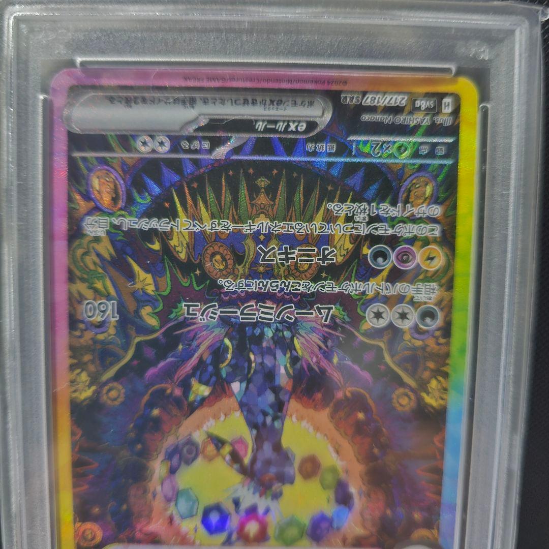 ブラッキー SAR 2024テラスタルフェスex PSA10